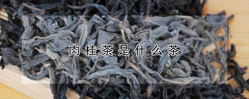 肉桂茶是什么茶 —【发财农业网】