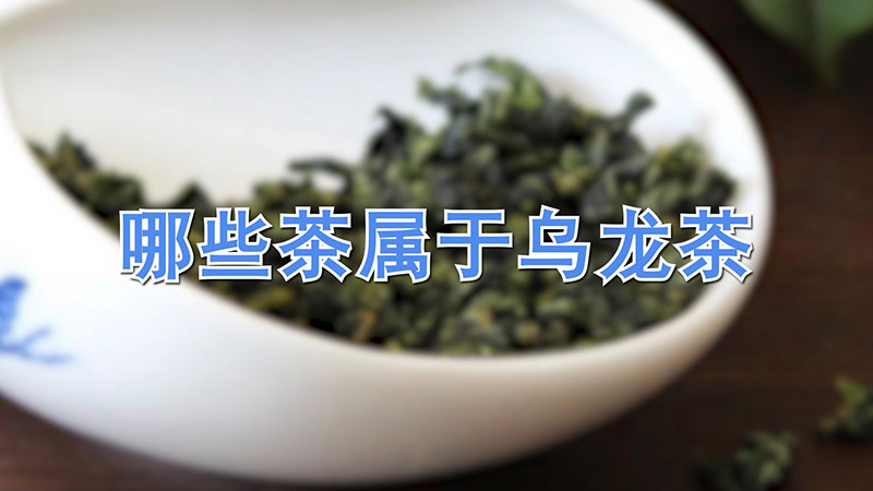 哪些茶属于乌龙茶