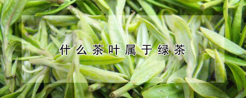 什么茶叶属于绿茶