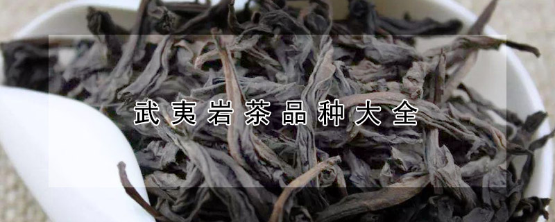 武夷岩茶品种大全