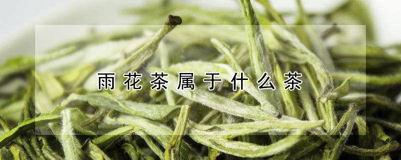 雨花茶属于什么茶