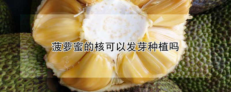 菠萝蜜的核可以发芽种植吗