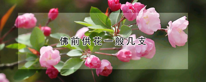 佛前供花一般几支