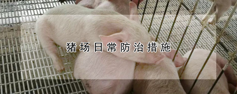 猪场日常防治措施