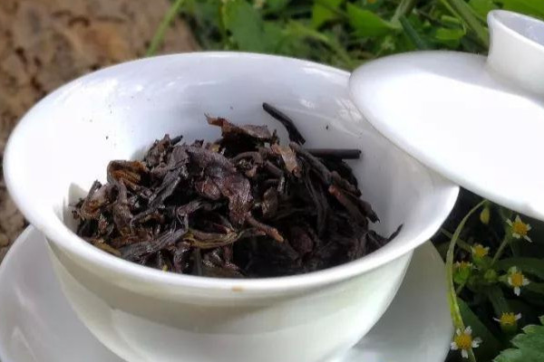 普洱茶顶级是什么茶
