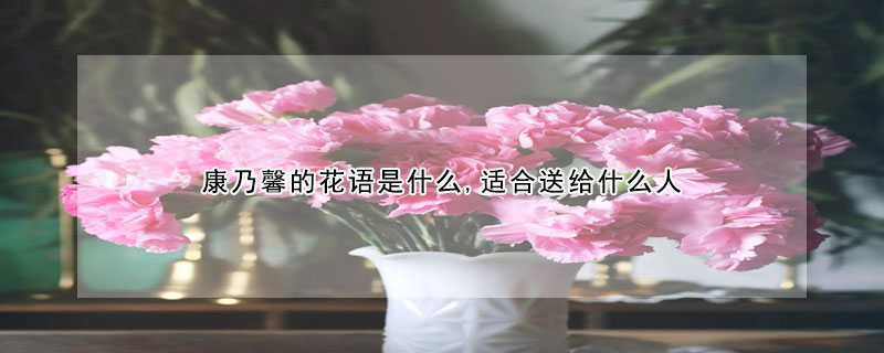 康乃馨的花语是什么,适合送给什么人