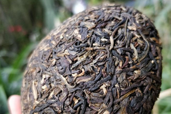 沱茶属于什么茶,什么是沱茶