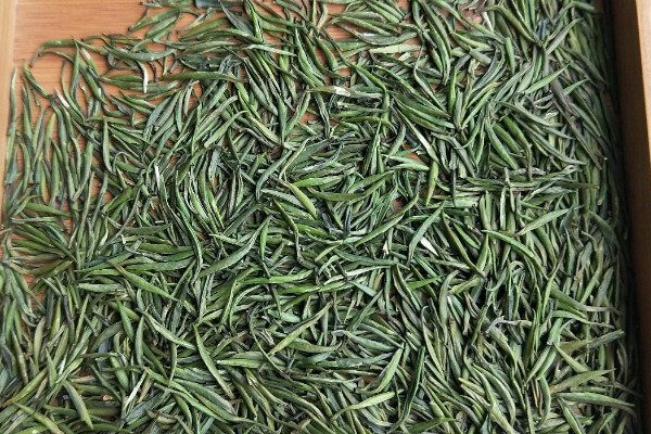 湄潭翠芽属于什么茶,湄潭翠芽是不是绿茶