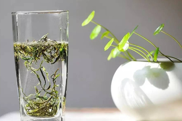 庐山云雾茶属于什么茶,庐山云雾茶是哪种茶
