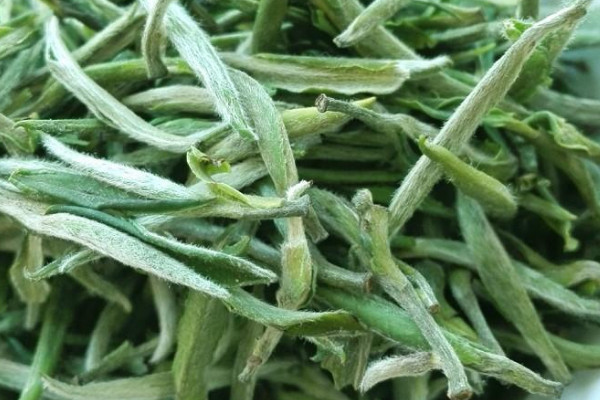 高山茶是红茶还是绿茶,高山茶是什么茶