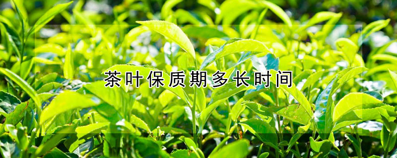 茶叶保质期多长时间 —【发财农业网】