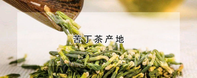 苦丁茶产地