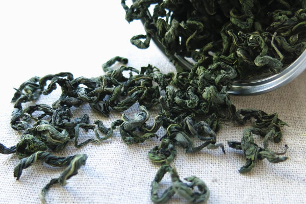 刺五加茶是什么茶,刺五加茶属于哪种茶