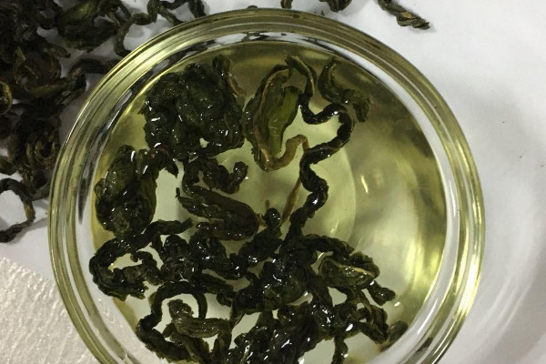刺五加茶是什么茶,刺五加茶属于哪种茶