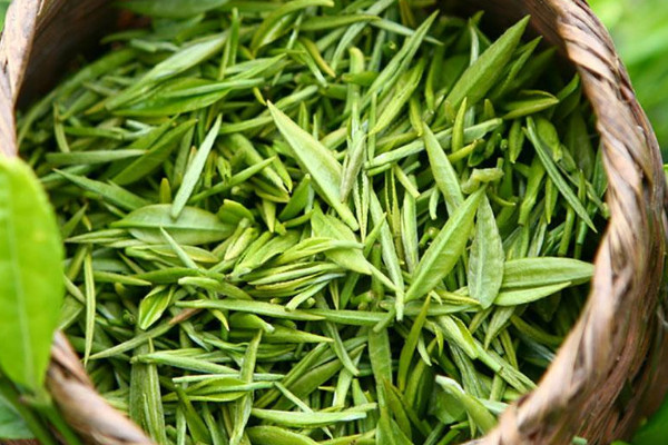 岳西翠兰是什么茶,岳西翠兰是啥茶