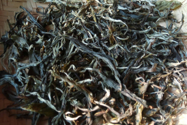 老班章普洱茶是生普还是熟普,古树班章是哪种普洱
