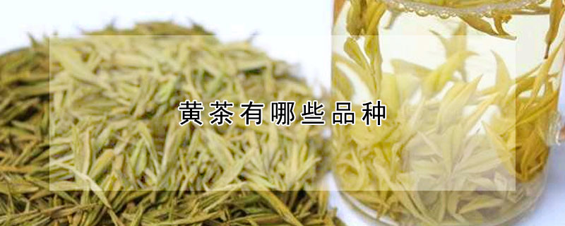 黄茶有哪些品种