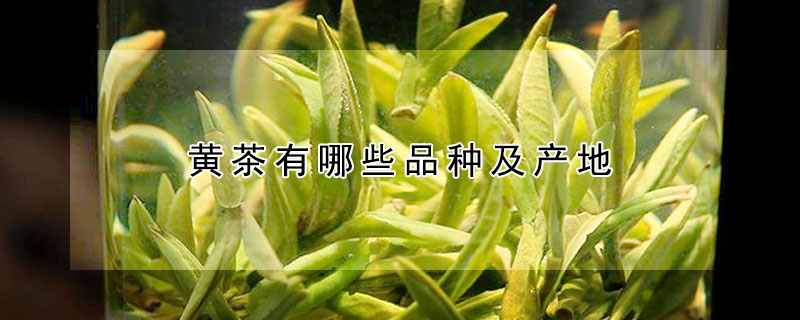 黄茶有哪些品种及产地 —【发财农业网】
