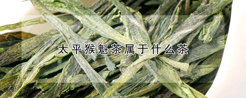 太平猴魁茶属于什么茶