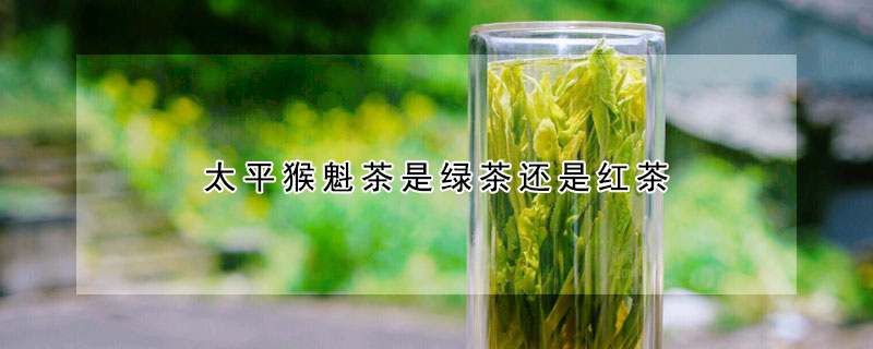 太平猴魁茶是绿茶还是红茶