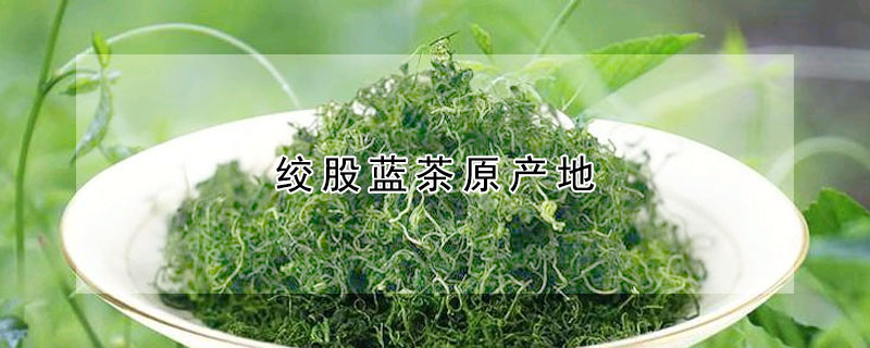 绞股蓝茶原产地