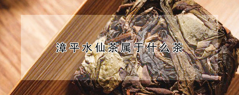 漳平水仙茶属于什么茶