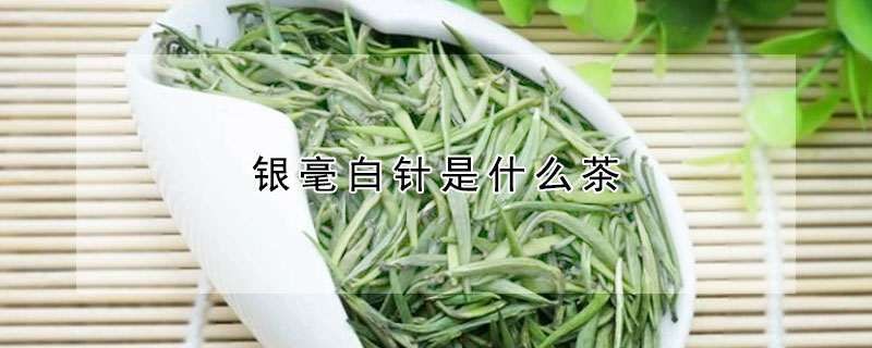 银毫白针是什么茶