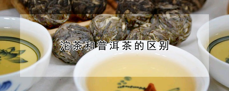 沱茶和普洱茶的区别