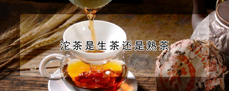 沱茶是生茶还是熟茶