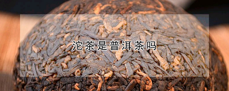 沱茶是普洱茶吗