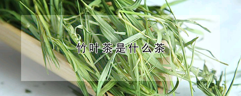 竹叶茶是什么茶