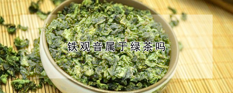 铁观音属于绿茶吗