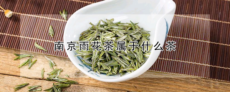 南京雨花茶属于什么茶