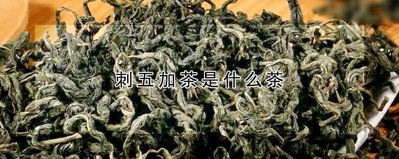 刺五加茶是什么茶