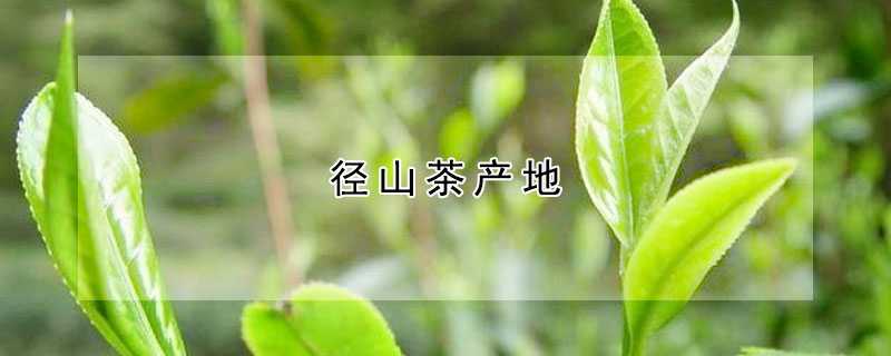 径山茶产地