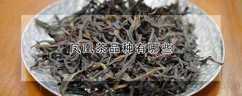 凤凰茶品种有哪些