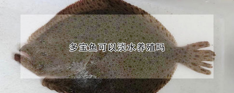 多宝鱼可以淡水养殖吗