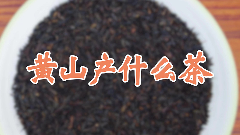 黄山产什么茶