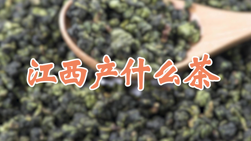 江西产什么茶