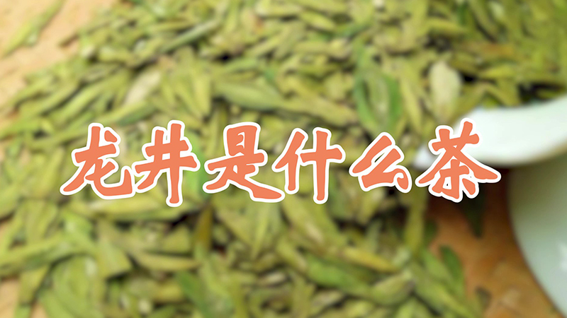 龙井是什么茶