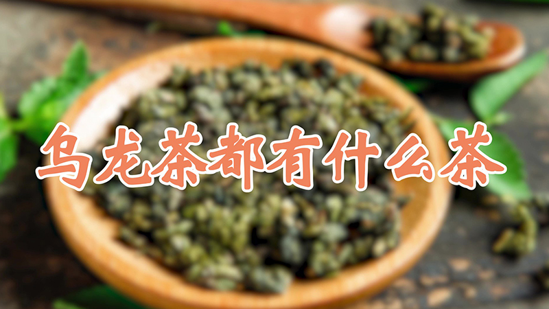 乌龙茶都有什么茶