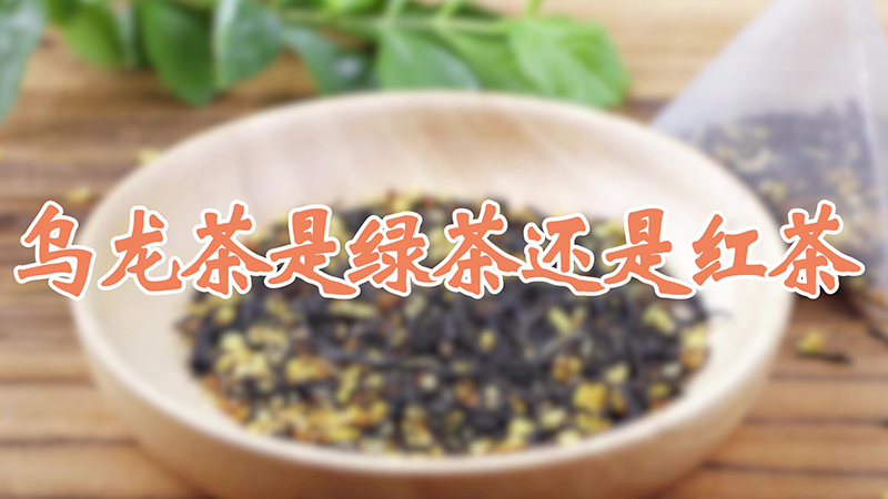 乌龙茶是绿茶还是红茶