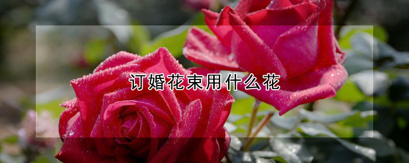 订婚花束用什么花