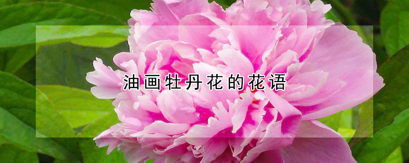 油画牡丹花的花语