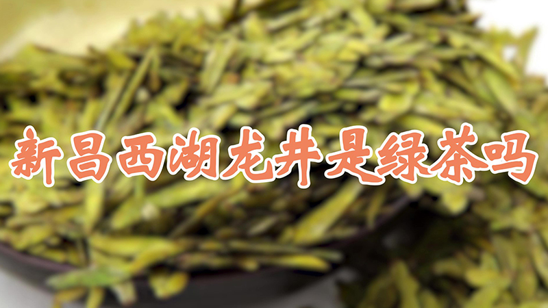 新昌西湖龙井是绿茶吗