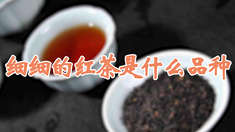 细细的红茶是什么品种