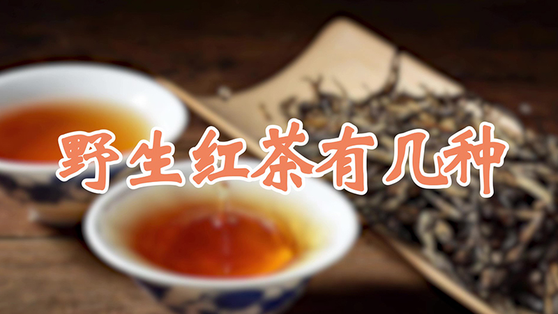 野生红茶有几种
