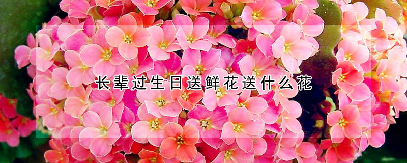 长辈过生日送鲜花送什么花