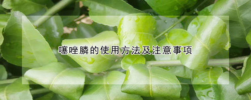 噻唑膦的使用方法及注意事项