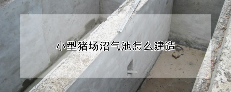 小型猪场沼气池怎么建造